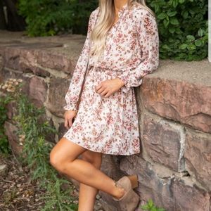 NWT - Small sleeved dress in blush